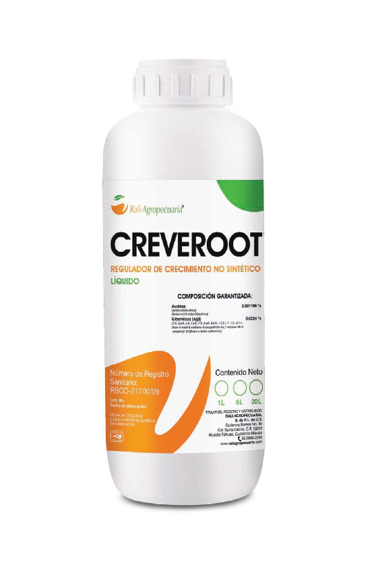 Creveroot