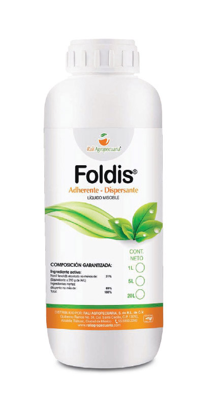 Foldis