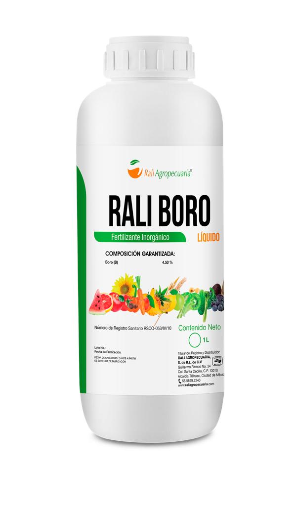 Rali Boro